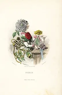 Whimsy Prints: Dahlia flower fairy in dress of flowers and leaves