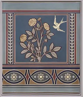Compositae Prints: Dahlia hybrid, dahlia