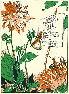 Dahlia Terrace