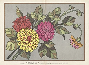 Leclerc Gallery: Dahlias, insert illustration in L Artisan Pratique