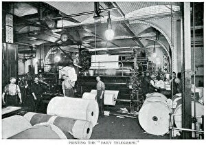 News Collection: Daily Telegraph - printing room 1900