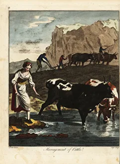 Recreation And Amusement Prints: Dairy maid and farmers with cattle, 18th century