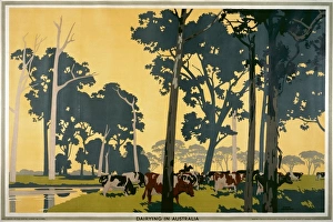 Adverts Gallery: Dairying in Australia
