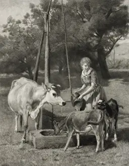 Calves Prints: The dairymaid