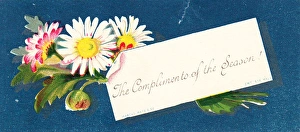 Images Dated 17th November 2015: Daisies on a Christmas card