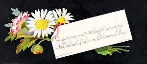Daisies on a Christmas card