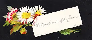 Daisies on a Christmas card