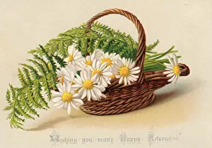 Images Dated 2nd December 2015: Daisies and ferns in a basket on a birthday card
