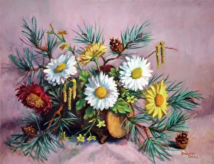 Daisies Prints: Daisies and Fir Cones