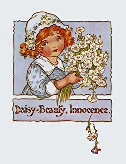 Posy Prints: Daisy Beauty Innocence