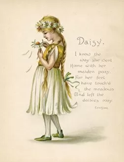 Personified Gallery: Daisy / Language of Flowers