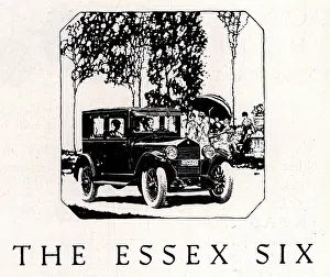Dalgety & Company Advertisement