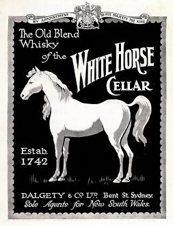 Established Collection: Dalgety & Co White Horse Cellar Advertisement