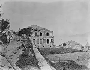 Damaged buildings and trees, China