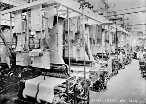 Damask Prints: Damask Looms