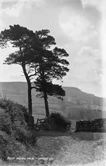 Danby Prints: Danby Dale - Judges LB