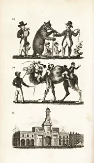 Dancing Bear and Dog, Camel and Monkey and