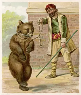 Dancing Bear / Prize / 1893