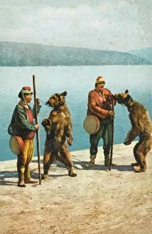 Sticks Collection: Dancing Bears - Constantinople, Turkey