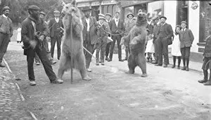 Cruelty Collection: Dancing bears in the High Street, Crickhowell, Mid Wales