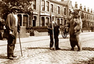 Colne Prints: Dancing performing bear, Colne Road, Burnley