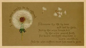 Loss Gallery: Dandelion Clock & Prayer