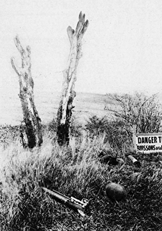 Images Dated 1st December 2016: The Danger Tree