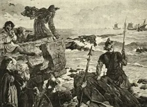 Danes Prints: Danish Invasion 877