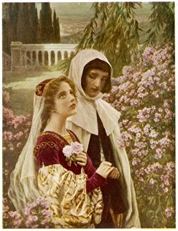 Alighieri Gallery: Dante / Saccagi