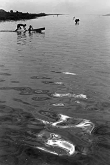 Images Dated 30th August 2011: Danube Reflections
