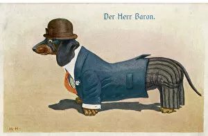 Baron Collection: Dapper Dachshund