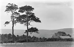 Darby Dale Landscape