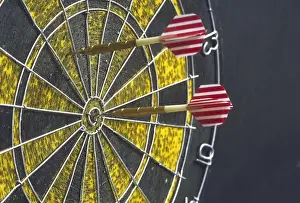Darts Prints: DART BOARD