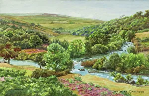 Winding Collection: Dartmeet, Dartmoor, Devon