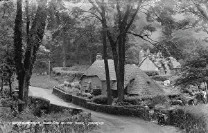 Dartmoor, Buckland-in-the-Moor