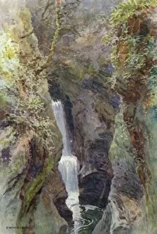 Images Dated 21st June 2011: Dartmoor - Lydford Gorge