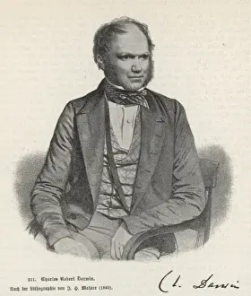 Darwin / 1849 / Masure