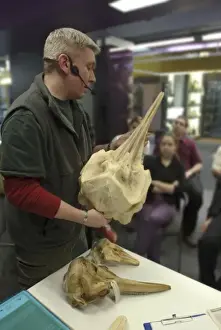 Darwin Centre Live Presentation