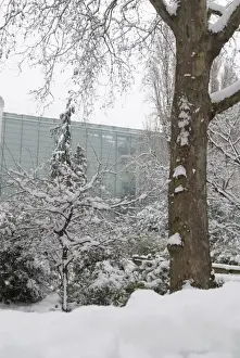 The Darwin Centre at the Natural History Museum, London
