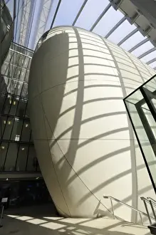 The Darwin Centre at the Natural History Museum, London