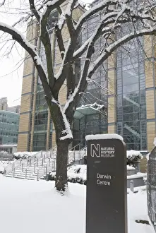 The Darwin Centre Phase One at the Natural History Museum, L