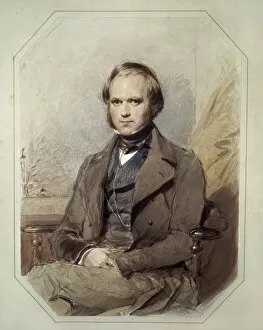 Naturalist Gallery: DARWIN, Charles Robert (1809-1882). British naturalist