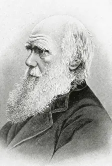 DARWIN, Charles Robert (1809-1882). British naturalist