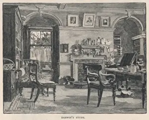 Darwin / Downe / Study