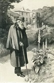 Images Dated 22nd March 2012: Darwin in his garden