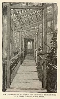 Naturalist Gallery: Darwin / Greenhouse / 1882