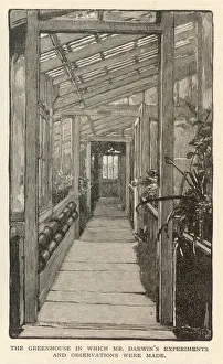 Images Dated 20th October 2007: Darwin / Greenhouse / 1882
