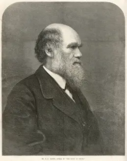 DARWIN / ILN / 1871