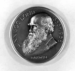 Frowning Prints: Darwin / Medallion / Medal