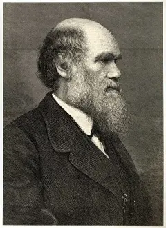 Darwin / Profile / Eng